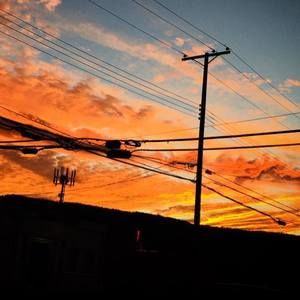 Meet your Posher, Robin